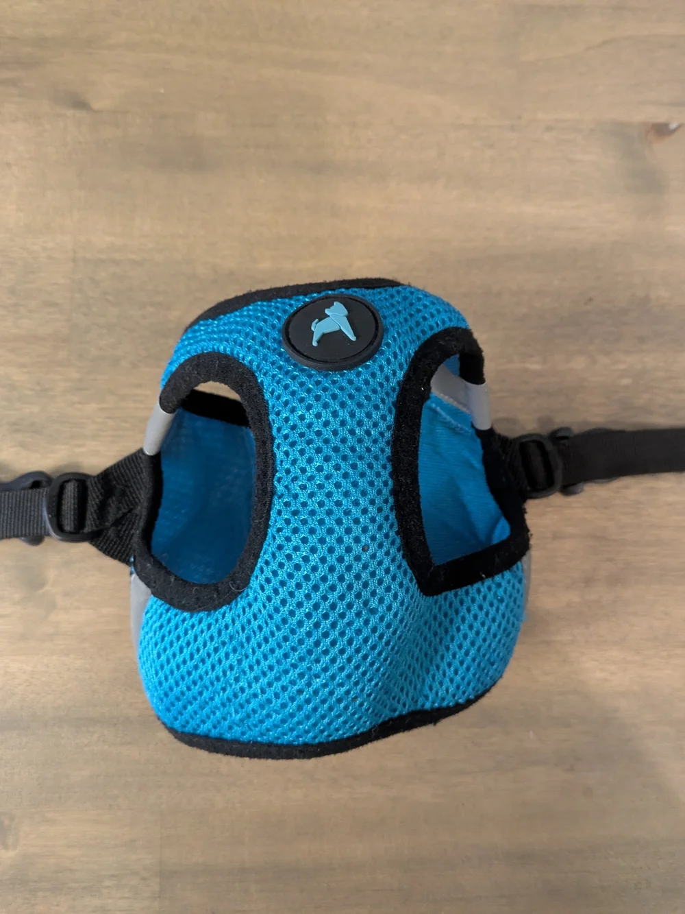 Blue Small Pet Harness with Quick-Release Buckle